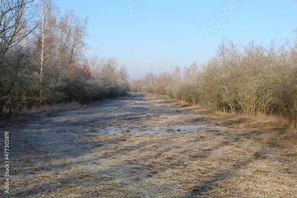 Obraz Natur im Winter