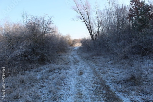 Obraz Natur im Winter