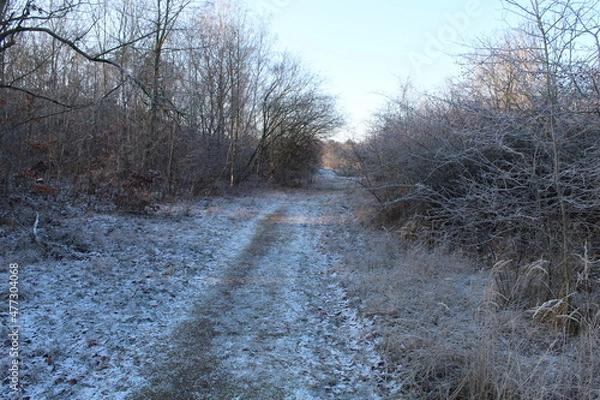 Obraz Natur im Winter