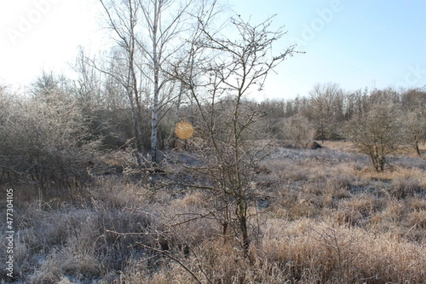 Obraz Natur im Winter
