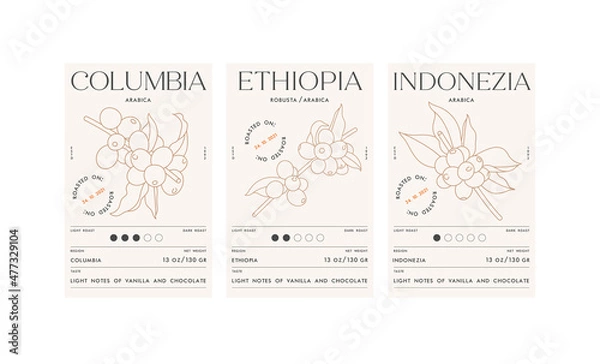 Fototapeta Vector set illustration design labels for coffee packages. Minimalistic and modern design with coffee beans branch.