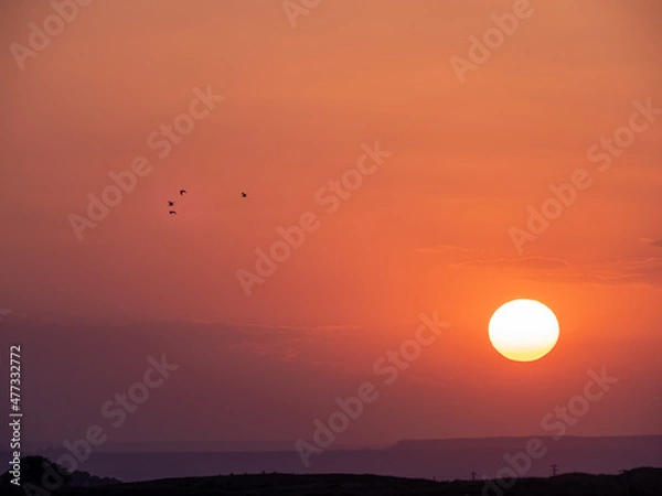 Obraz atardecer naranja