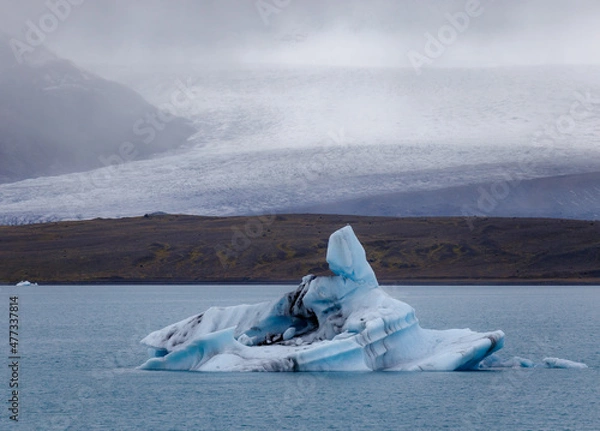 Obraz seagull on iceberg
