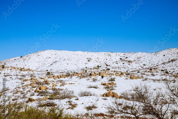 Obraz Snowy mountain panorama view in Arizona winter