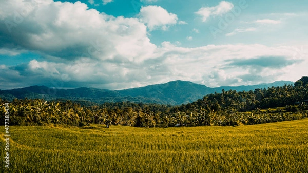 Fototapeta landscape with mountains and sky