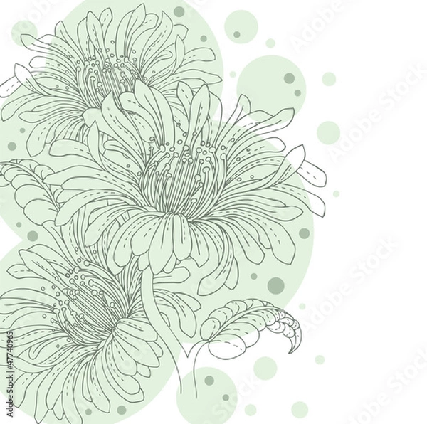 Fototapeta Floral backgrond