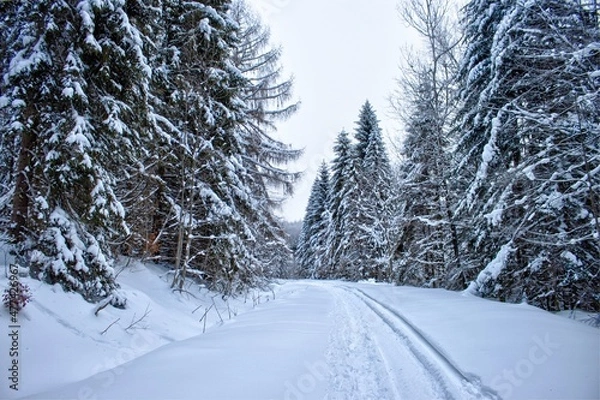 Obraz Bieszczady zima w górach