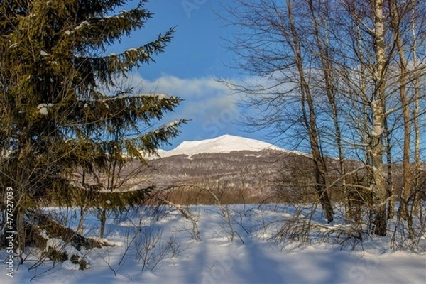 Obraz Bieszczady zima w górach
