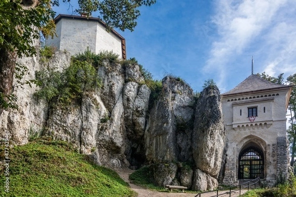 Obraz Zamek w Ojcowie