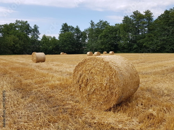 Fototapeta Strohballen auf einem Acker 