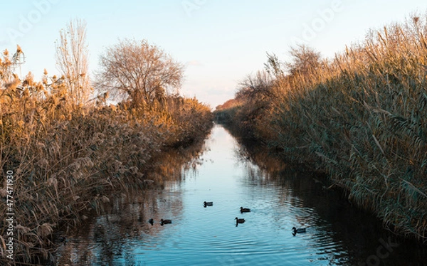 Obraz atardecer en canal