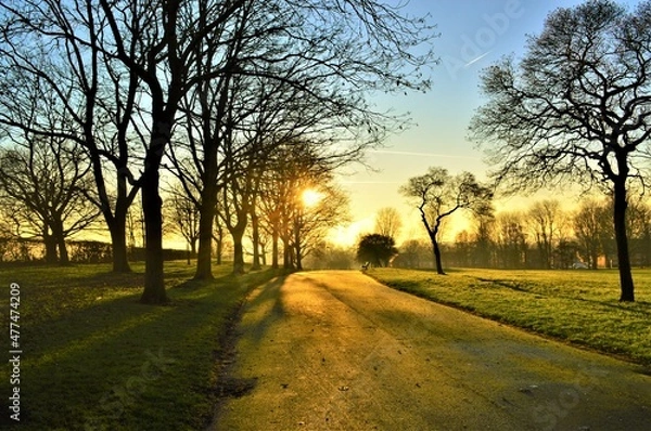 Obraz Winter sunset in the park.