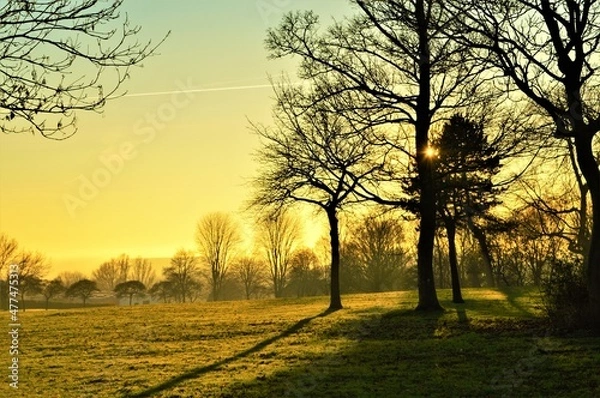 Obraz Winter sunset in the park.