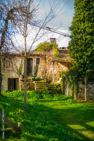Obraz Path to the Castelo de Monterrei