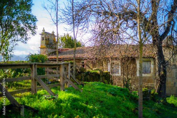 Obraz Path to the Castelo de Monterrei