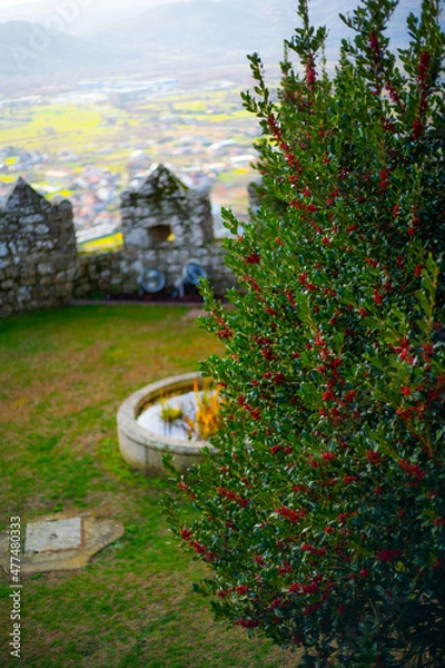 Obraz Path to the Castelo de Monterrei