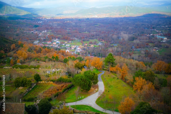 Obraz Path to the Castelo de Monterrei