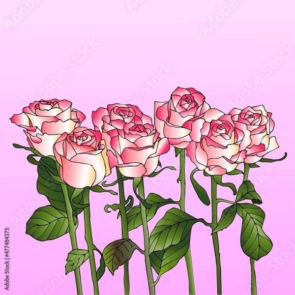 Fototapeta Seamless pattern with the image of flowers of pink roses on a pink background. Vector illustration.