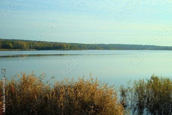 Fototapeta View on the river and forest, Ukraine