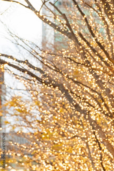 Fototapeta 【都市風景】丸の内イルミネーション