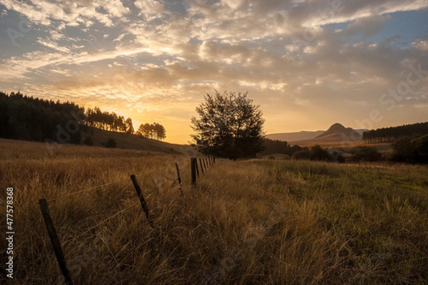 Fototapeta A rural landscape with fields of grass, trees, a fence and a dramatic cloudy golden sunset, Midlands, Kwa Zulu Natal, South Africa
