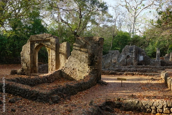Fototapeta The Gedi ruins in Watamu at the golden hour