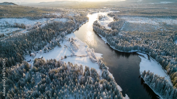 Fototapeta Aerial view of snowy winter forest with black river. Drone photography - panoramic image of beautiful frosty trees and loops of river in Jamtland County, Sweden