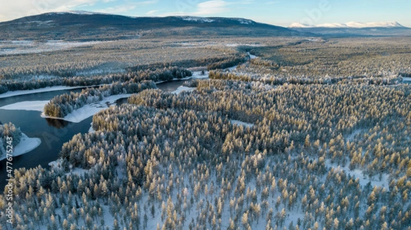 Fototapeta Aerial view of snowy winter forest with black river. Drone photography - panoramic image of beautiful frosty trees and loops of river in Jamtland County, Sweden