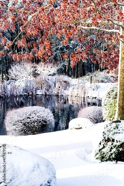 Fototapeta Reflection of Snowy Bank and Fall Color