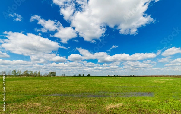 Fototapeta field and blue sky with clouds