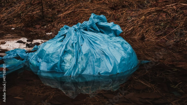 Obraz Müll in einer Pfütze