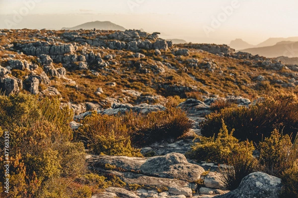 Obraz Landscape at the sunset