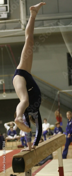 Obraz gymnastic,