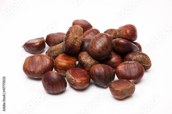Obraz chestnuts