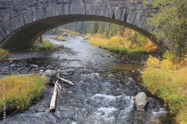 Fototapeta Yellowstone