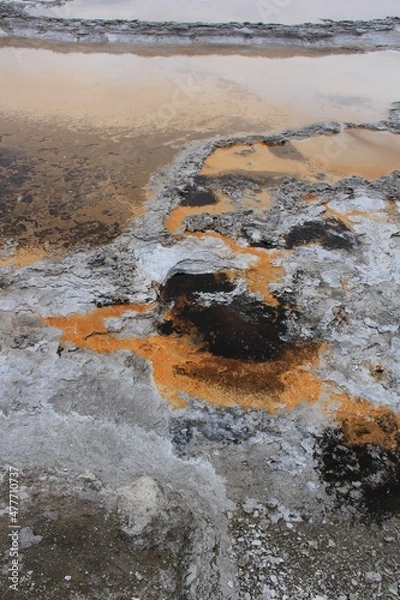 Fototapeta Yellowstone