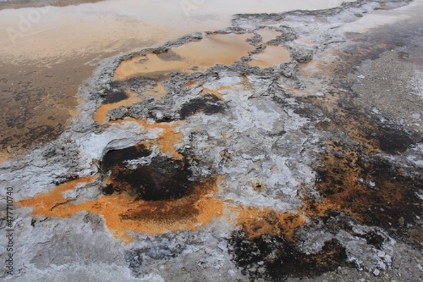 Fototapeta Yellowstone