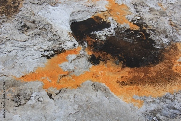 Fototapeta Yellowstone