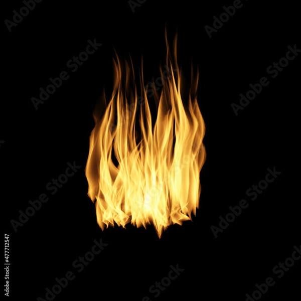 Fototapeta Fire flames on black background.