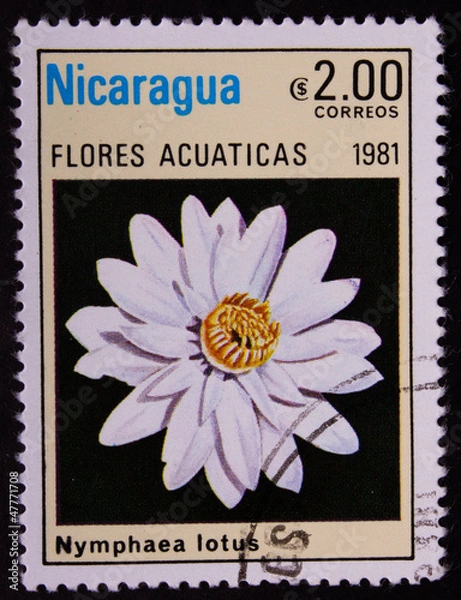 Fototapeta Postage stamp