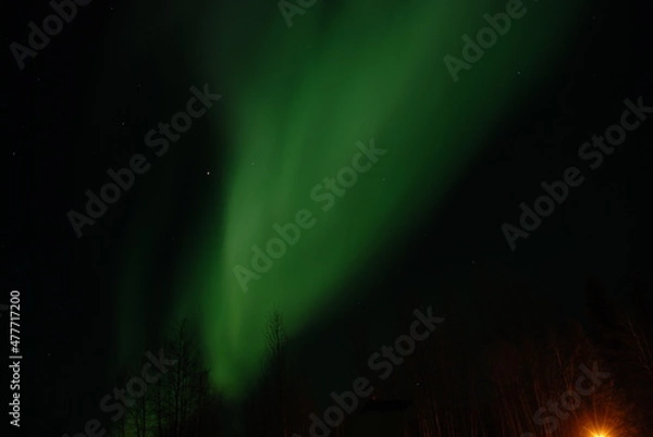 Fototapeta Northern Lights