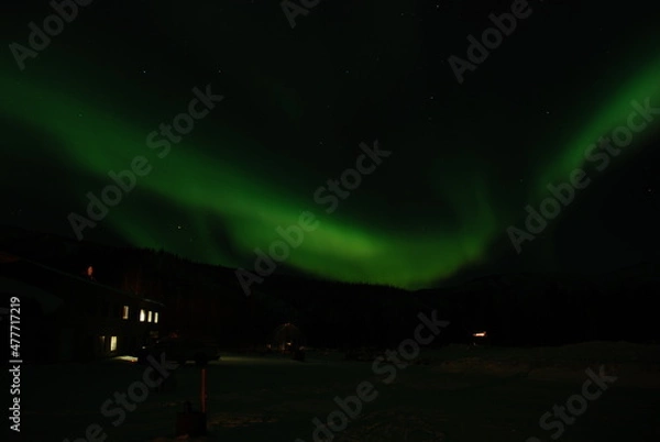 Fototapeta Northern Lights