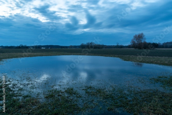 Fototapeta Water in the meadow and the cloudy sky
