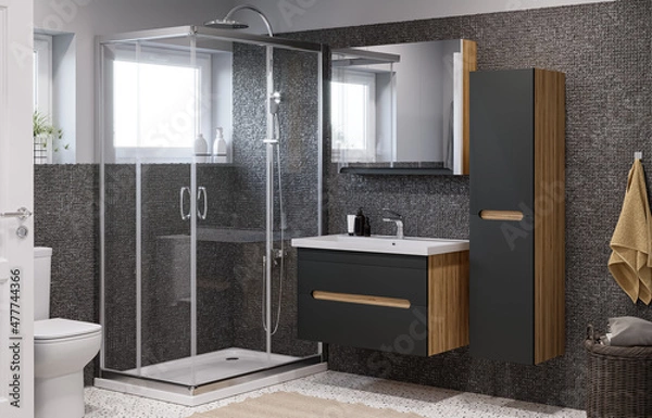 Obraz 3D Render. A modern bathroom design. Catalog drawing.