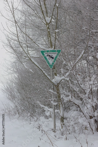 Obraz Winterlandschaft