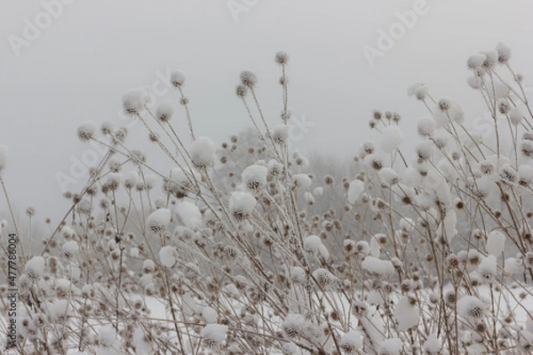 Obraz Winterlandschaft