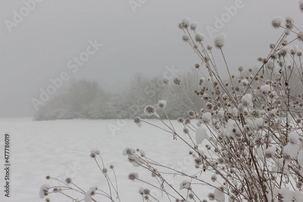 Obraz Winterlandschaft
