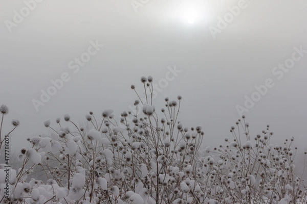 Obraz Winterlandschaft