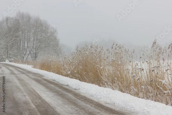 Obraz Winterlandschaft
