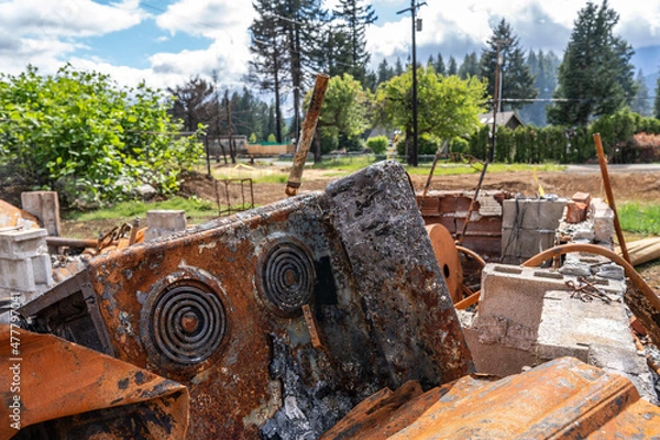 Obraz Burned down house after fire